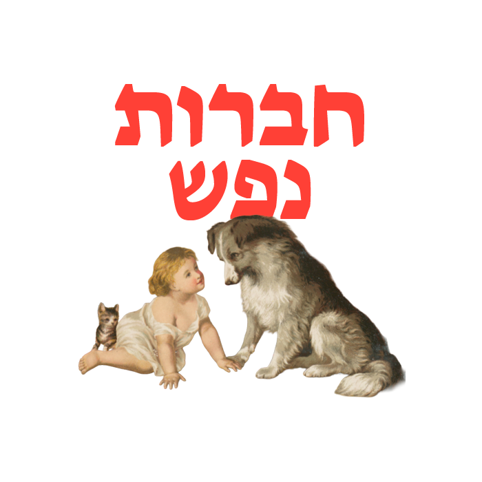 חברות נפש